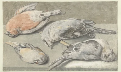 Stilleven met vier dode vogels