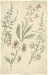 Vier studies van roze en blauwe bloemen