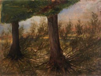 Bomen naast een beek