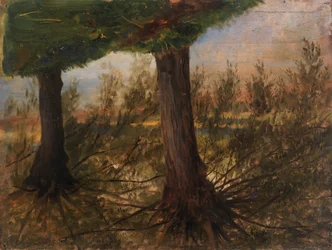 Bomen naast een stroom