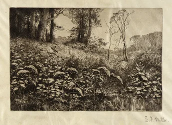 Een zomermiddag