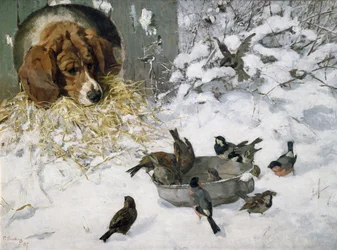 Wintergasten