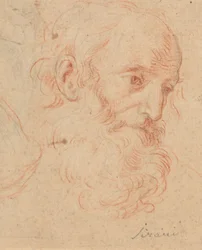 Kop van een oude man met baard