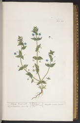 Plaat 274, uit 
