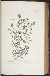 Plate 310, uit 