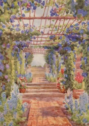 Pergola bedekt met blauwe Ipomoea Learii de Grendel, Tygerberg (kleurenlitho)