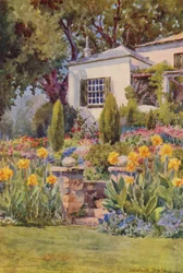 Gele Cannas bij de Trappen, Bishopscourt, bij Kaapstad (kleurenlitho)