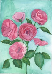 Roze rozen, 2017 (aquarel)