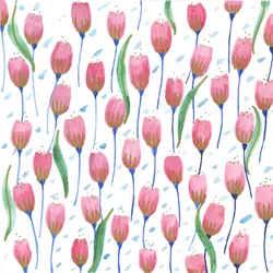 Roze tulpen, 2017 (aquarel)