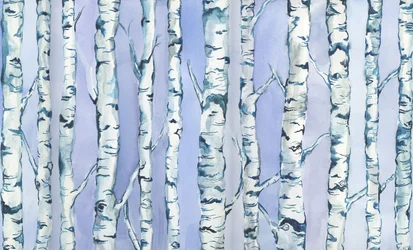 Silverbirch Forest, 2018 (aquarel en acryl)