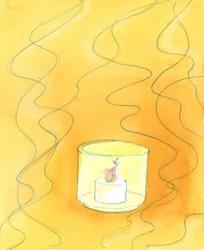 Door hun Doopsel zijn zielen veranderd; en degenen die de Hemel binnengaan worden 