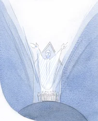 Hier, tijdens de Mis, is Christus Echt Aanwezig met ons, op Aarde, biddend tot de Vader, met ons om Hem heen verzameld