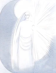 Onze Lieve Vrouw verscheen voor mij, in haar verblindende hemelse schoonheid