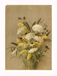 Hemlock, ooggras en guldenroede