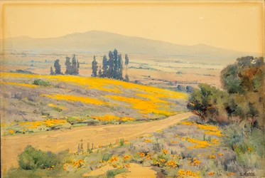 Californisch lentelandschap