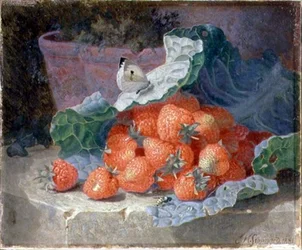Aardbeien in een Koolblad met een Bloempot erachter