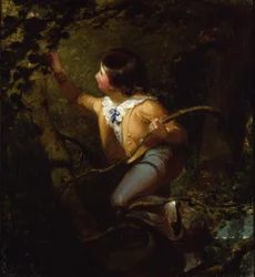 Nestelen van vogels