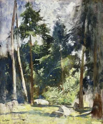 Hoge dennen