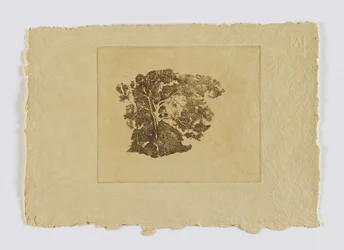 Bomenstudie (fm. portefeuille)