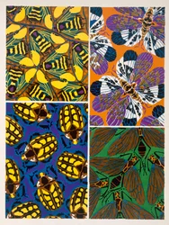 Ontwerp met insectenmotief