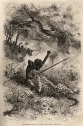 Een luipaard springt op een man en bijt hem wreed in zijn rug, in de buurt van Bambare (Congo), gravure naar een tekening van Emile Bayard, ter illustratie van David Livingstone