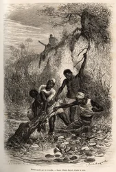 Een matroos van de expeditie, die convolvus (eetbare waterplant die zich over het wateroppervlak verspreidt) heeft teruggevonden, wordt bij de elleboog gegrepen door een krokodil; hij dankt zijn overleving alleen aan de tussenkomst van zijn kameraden, ets 