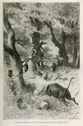 Ontsnapping van de expeditie voor de aanval van een buffel, tekening door Emile Bayard, ter illustratie van het verhaal: Dwars door Afrika, van Zanzibar (Tanzania) naar Benguela (Angola), van 1872 tot 1876, door luitenant V.H. Cameron. Gravure in Le tour d