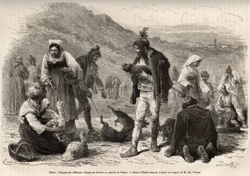 De boeren in de omgeving van Pisino (Kroatië), verzamelen zich voor de verkoop van hun landbouwproducten op de markt: gevogelte, biggetjes..., gravure naar een tekening van Emile Bayard ter illustratie van de reis in Istrië en Dalmatië, in 1874, door Charl
