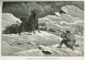 Jachtscène met wilde jak, tekening door Emile Bayard ter illustratie van de reis naar Mongolië en het land van de Tangoutes van 1870 tot 1873, door Luitenant Kolonel Prjewalski. Gravure in Le tour du monde