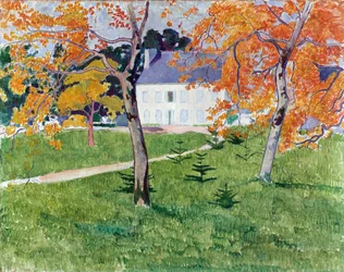 Huis tussen de bomen