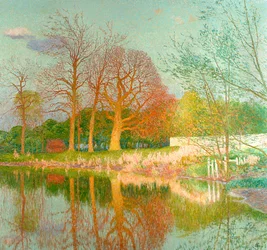 Kastanjeboom in de avondzon