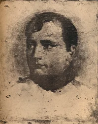 Napoleon, 19e eeuw