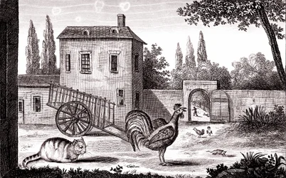 De haan, de kat en de muis, fabel van La Fontaine