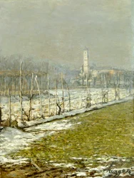 Landschap. Winterzon