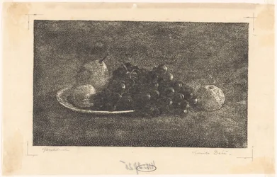 Schaal met druiven en ander fruit