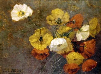 Klaprozen, ca. 1886