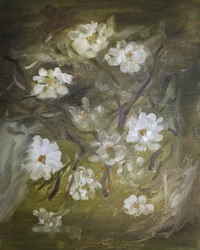 Zachte witte bloesems