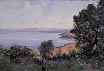 Douarnenez tarwe en bomen in zicht