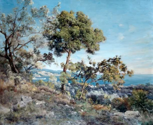 La Iodoa, 1892
