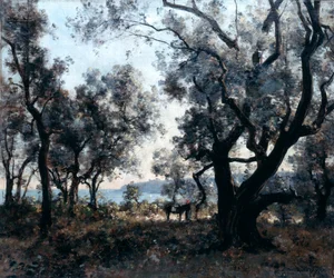 Olijfbomen rond Cap Martin