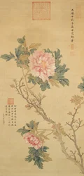 Pioenroos, Qing-dynastie (inkt en kleur op zijde)