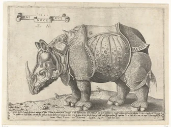 Neushoorn