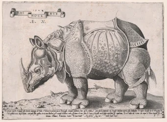 Neushoorn