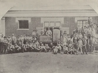 Een groep schaapscheerders