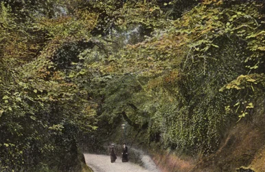 Chine Hollow, Shanklin