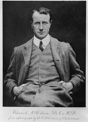 Edward A. Wilson, ca. 1910