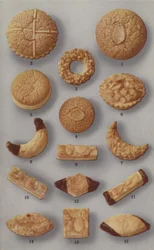 Illustratie voor marsepeinbrochure