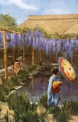 Japanse tuin (kleurenfoto)