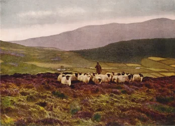 Op de Mountains of Mourne, County Down (kleurenfoto)