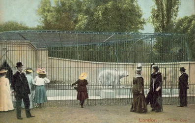 Mensen die het ijsberenverblijf in de London Zoo bezoeken